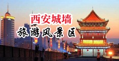 国产骚屄主播露脸操屄C0m中国陕西-西安城墙旅游风景区
